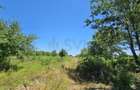 Teren intravilan de 8227 mp, în Băneasa - 4