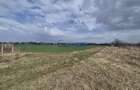 Teren intravilan de 2500 mp, în Izvorani - 2