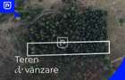 Teren de 3139 mp, în Frasin - 6