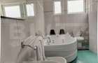 Spatiu Comerical Restaurant 15 camere, 1050mp, Josenii Barga - 11