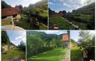 Casa de vanzare P+M - Sacaramb - 6