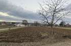 Teren intravilan in Mitocasi 67500 euro - 6