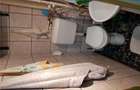 Vanzare ap Sagului,3 camere - 5