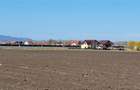 Teren intravilan de 49906 mp, în Stupini - 5