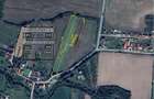Teren Construcții intravilan de 3892 mp, în Tinca - 1