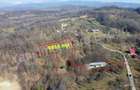 Constructie + teren de vanzare in comuna Valea Iasului, judet Arges. - 8