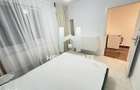 Apartament cu 2 camere in Giroc pe Calea Urseni - 2