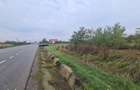 Teren intravilan, 33 ml DN 2 , Dumbrava, Bacau - 2