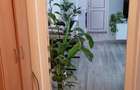 Apartament cu 2 camere decomandat în Zimbru - 4