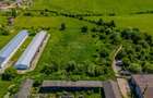 Spațiu industrial, de 700 mp, în Teliu - 5
