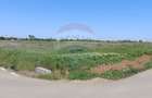 Teren Construcții intravilan de 980 mp, în Ciolpani - 2