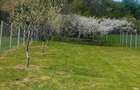 Teren intravilan curte - 1
