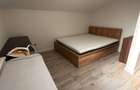 Apartament cu 2 camere semidecomandat în Bună Ziua - 4