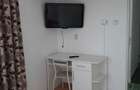 Inchiriez apartament cu 1 camera- Zona Petru Rares - 3