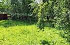 Proprietate de vanzare - 1