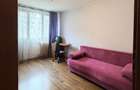 Apartament in Fizicienilor - Camil Ressu - 12