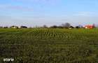 TEREN de colt 740mp zona exclusivista Izvorani Delta Snagov 100m lac - 6