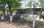 Casa si Teren de vanzare - 2