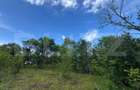 Teren extravilan de vanzare, 6000 mp, zona Hateg - 2