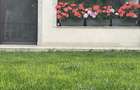 Duplex cu 4 camere cu Canalizare în Mănăștur - 9 Duplex cu 4 camere cu Canalizare în Mănăștur - 9