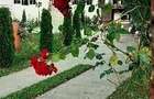 Vila in sat toplita com malureni arges - 1