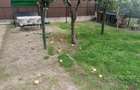 Casă cu 2 camere cu Teren 160 Mp în Central - 4