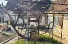 Casa saseasca cu teren 2000 mp dublu acces Hamba - 18