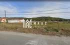 Teren agricol extravilan de 2600 mp, în Veștem - 2