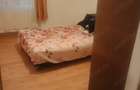 Apartament cu 2 camere decomandat în Târgu Jiu - 6