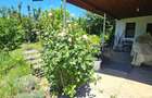 RARA AVIS! Teren 1550 mp, deschidere 31 m, zona Ferme, Otopeni - 5