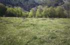 Vand teren pe Transapuseana in Ponor - 10