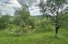 Agentia imobiliara VIGAFON vinde teren intravilan Telega-Prahova - 1