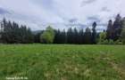 Teren Construcții intravilan de 2300 mp, în Palanca - 2