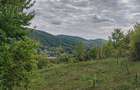 5.400 mp teren cu doua constructii, utilitati la poarta, acces din 2 strazi, zona superba de deal - 3