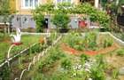 Casă cu 2 camere cu Teren 450 Mp în Ferneziu - 4