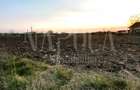 Teren intravilan agricol de vanzare in Episcopia Bihor Oradea, Oradea - 2