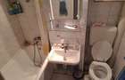 Apartament cu 2 camere semidecomandat în Teiul Doamnei - 10