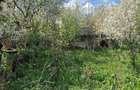 Vand teren intravilan - 4