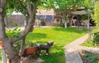 Vand vila Sendreni, Galati - 6