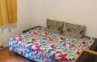 Apartament doua camere, zona Nord - 4