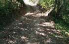 Teren de 1600 mp, în Cacica - 4