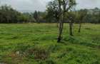 Casa cu teren 2 hectare intravilan - 2