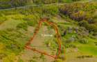 Teren agricol intravilan de 11342 mp, în Poiana Mărului - 7