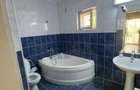 Casă cu 5 camere în Brestei - 5