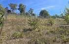 Teren intravilan in Manolesti Deal - 2