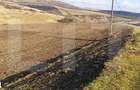Teren intravilan 12.656 mp cu deschidere mare la drum oportunitate - 3