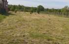 Teren de 550 mp, în Tăuții-Măgherăuș - 5