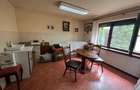 A 1433 De vanzare sapa?iu cmercial +casa , ultracentral, Panov - 6