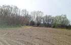 Teren Construcții intravilan de 1683 mp, în Exterior Est - 13