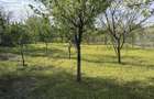 Casa cu pivnita si curte mare in mediul rural - 4